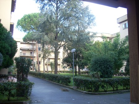  Caserta